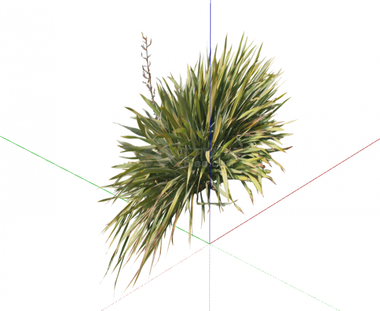 干枯的绿黄交错的草丛su模型-图二
