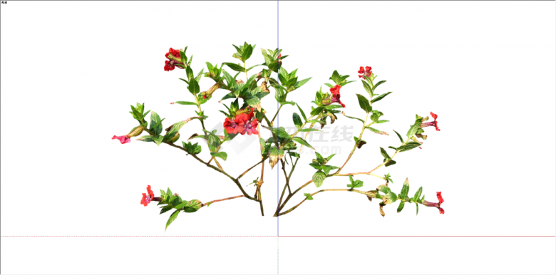 陆生红色花卉植物su模型-图一