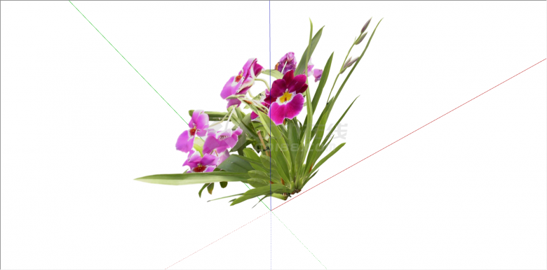 现代三色系花朵植物su模型-图二