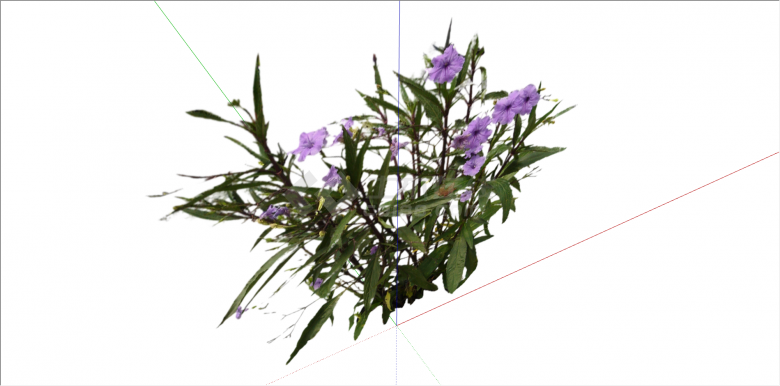 居家养殖紫色花植物su模型-图二