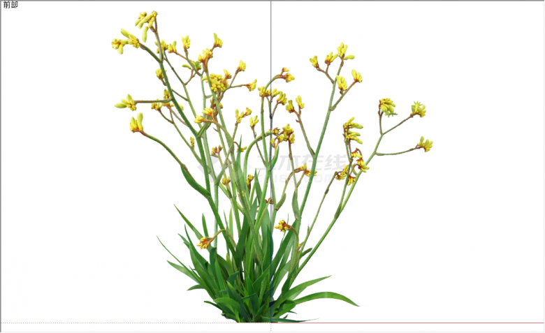 现代黄色花朵灌木花草su模型-图二