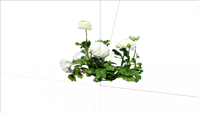 一颗开有白色小花的植物su模型-图一