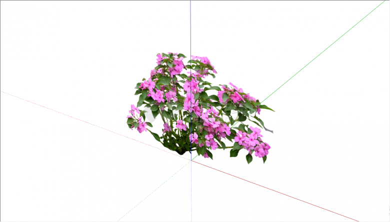 一棵开有紫色小花的植物su模型-图一