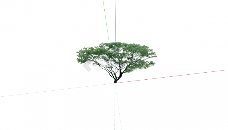 一棵茂密的粗壮的大树su模型-图一