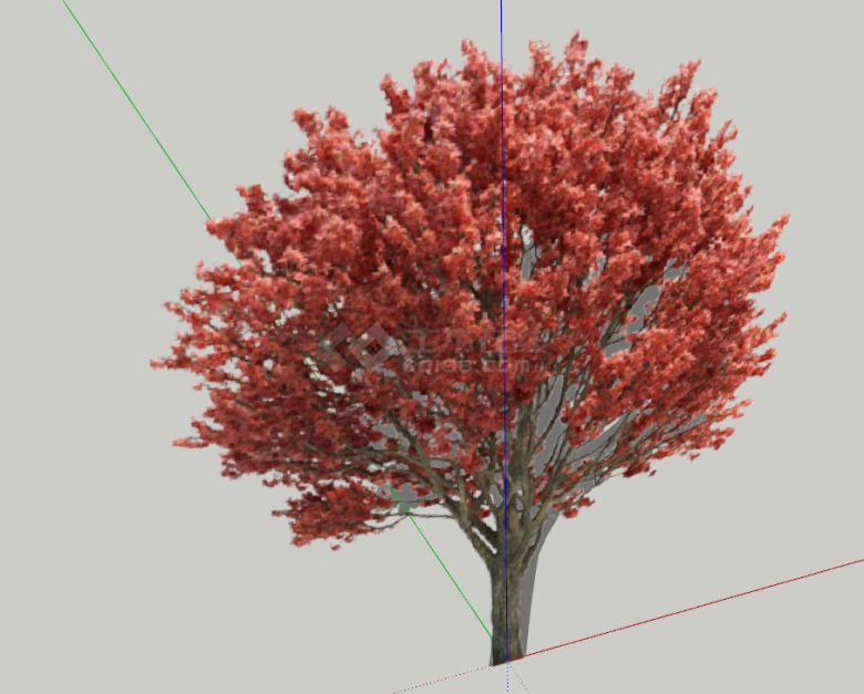 暗红色枝繁叶茂的花乔木su模型-图二