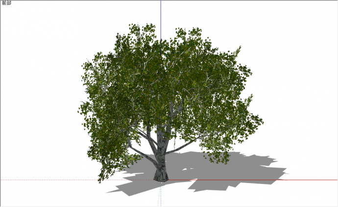 现代乔木榆树园林景观su模型_图1
