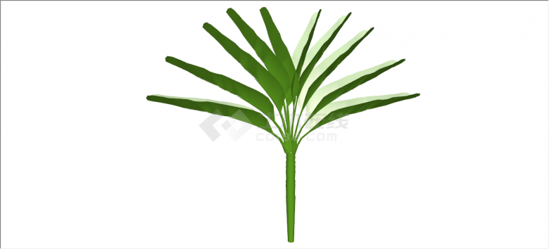 美观稀疏棕榈热带树木su模型-图二