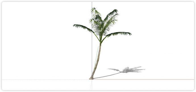 大葵叶绿色植物su热带树模型_图1