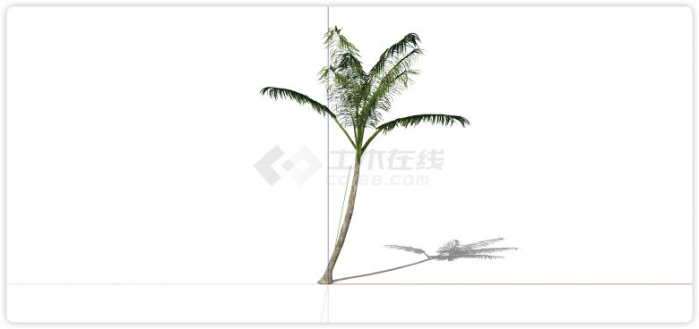 大葵叶绿色植物su热带树模型-图一