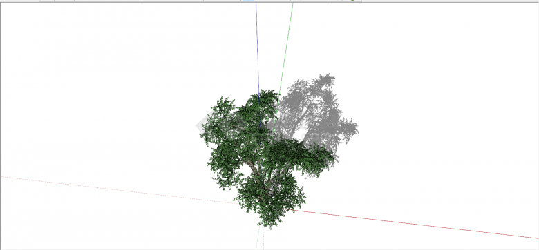 榆科糙叶树绿色乔木su模型-图二