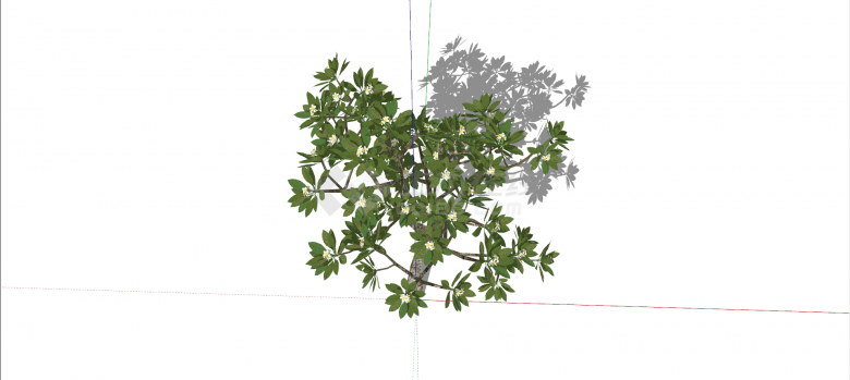 桑科面包树绿色乔木su模型-图二
