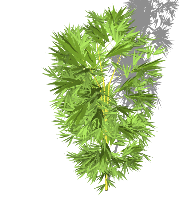 一颗茂密的带有绿色树叶的植物su模型_图1