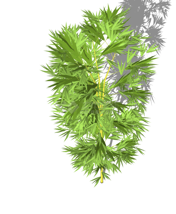 一颗茂密的带有绿色树叶的植物su模型-图一