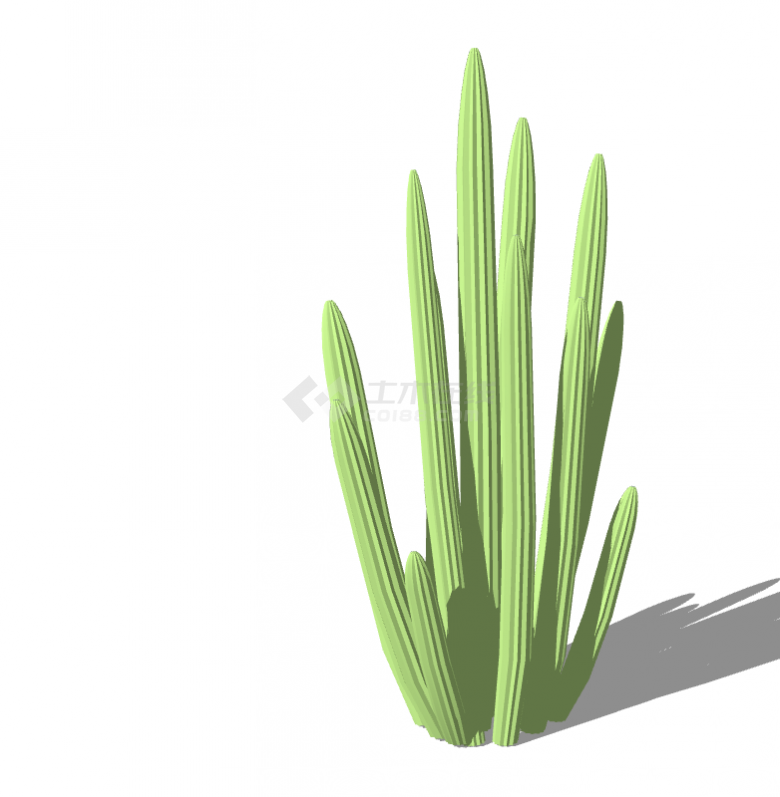 一株茂密的绿色的植物su模型-图二