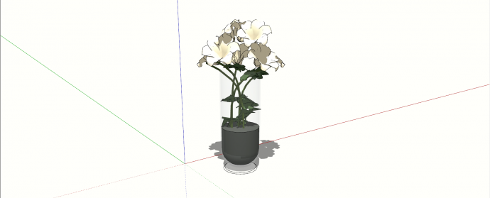 麝香百合室内植物su模型_图1