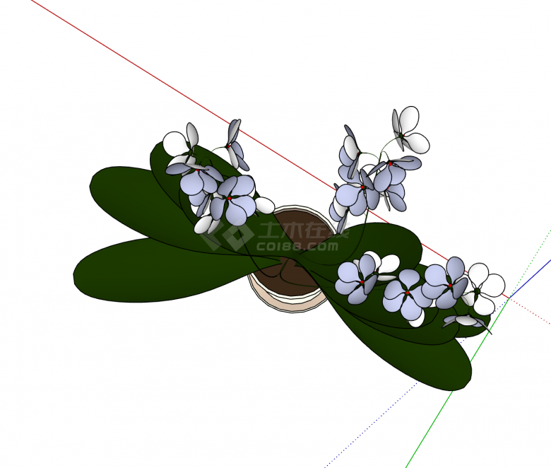 室内水仙花植物su模型-图二
