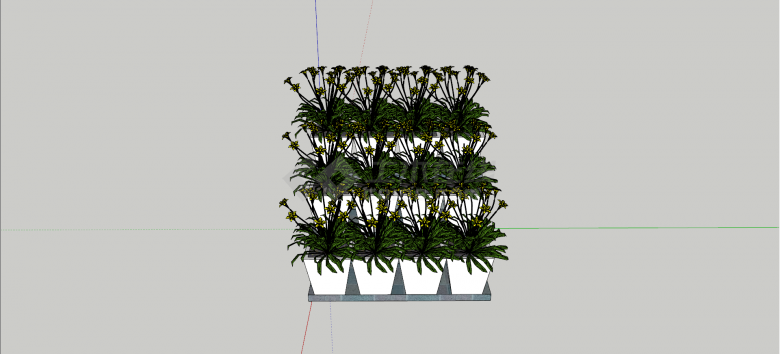夹竹桃科鸡蛋花室内植物su模型-图二