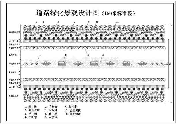 江苏省某市地区浦江东路延伸路段道路绿化设计图（150米标段）-图二
