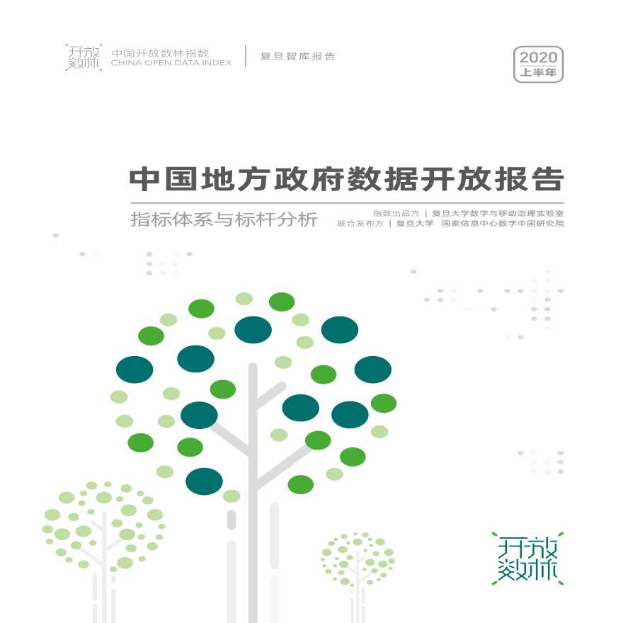 《2020中国地方政府数据开放报告》-图一