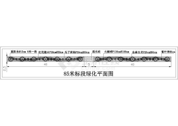 典型城市道路标准段绿化设计CAD施工平面图-图一