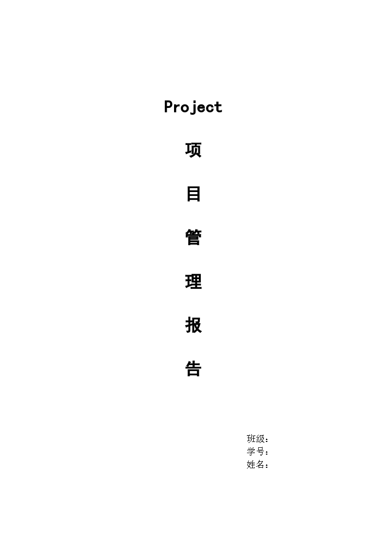 Project项目管理报告（word）