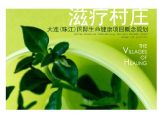 RTKL：大连（珠江）国际生命健康项目概念规....pdf图片1