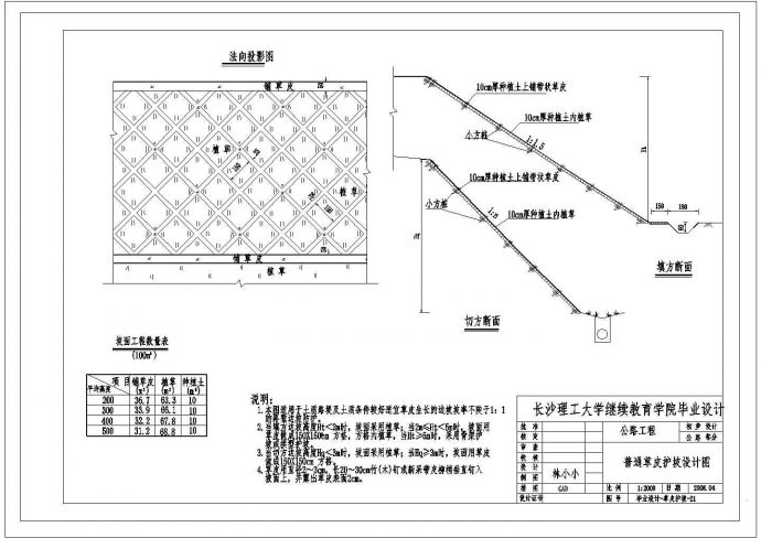 某草皮护坡CAD设计详细施工图_图1