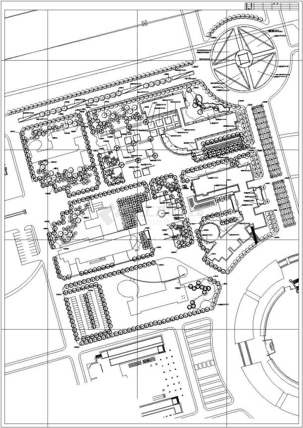 某大学景观种植设计总平面图CAD完整详细平面图纸-图一