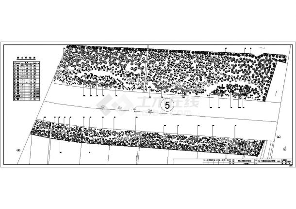 道路绿化带植物种植平面图-图二