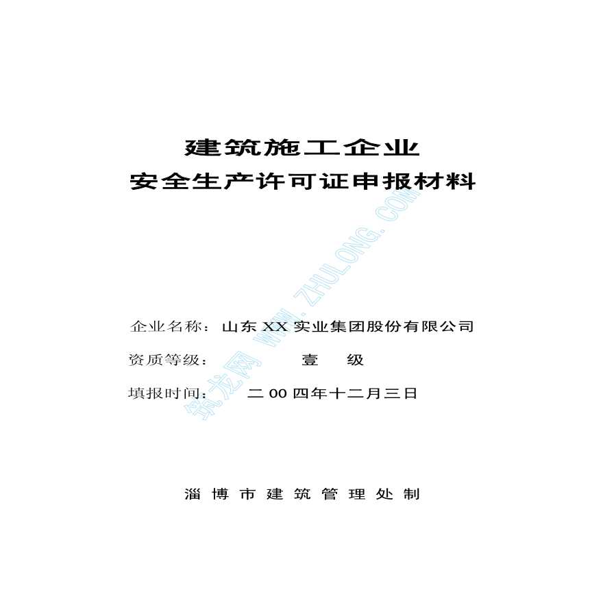 山东省某实业集团安全许可证申报材料填写示范