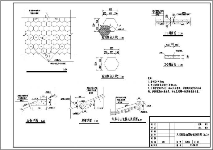 某标准水库大坝除险修缮全套方案设计施工CAD图纸_图1