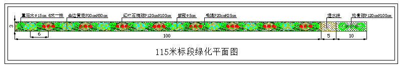 某标准道路绿化CAD设计cad施工图