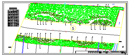 某道路绿化带植物种植平面设计cad图纸