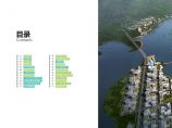 黄石大冶湖生态新区概念性总体规划及重点地区城市设计.pdf图片1
