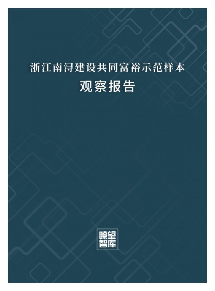 2021年 浙江乡村振兴示范分析[100P].pdf_图1