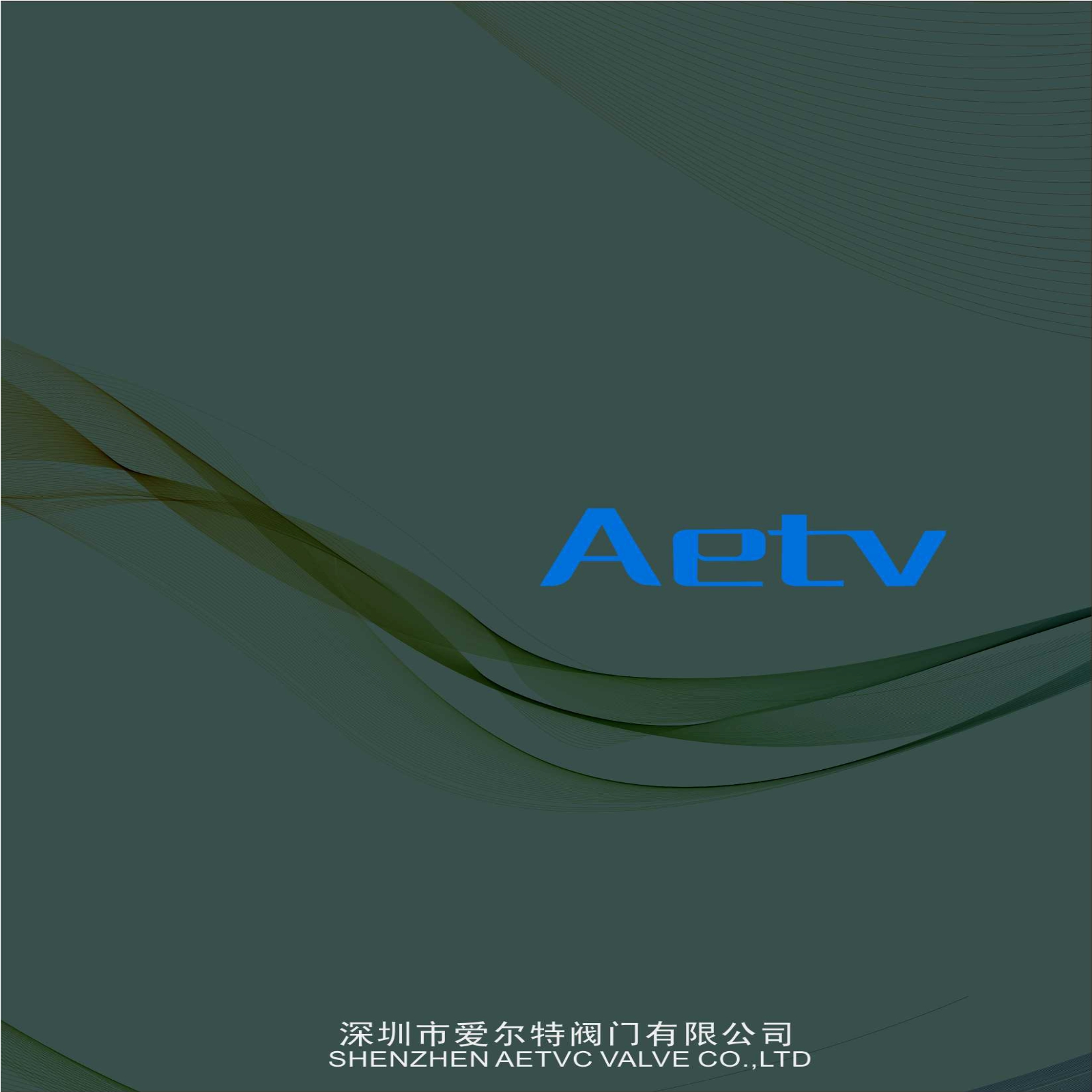 AETV愛爾特閥門