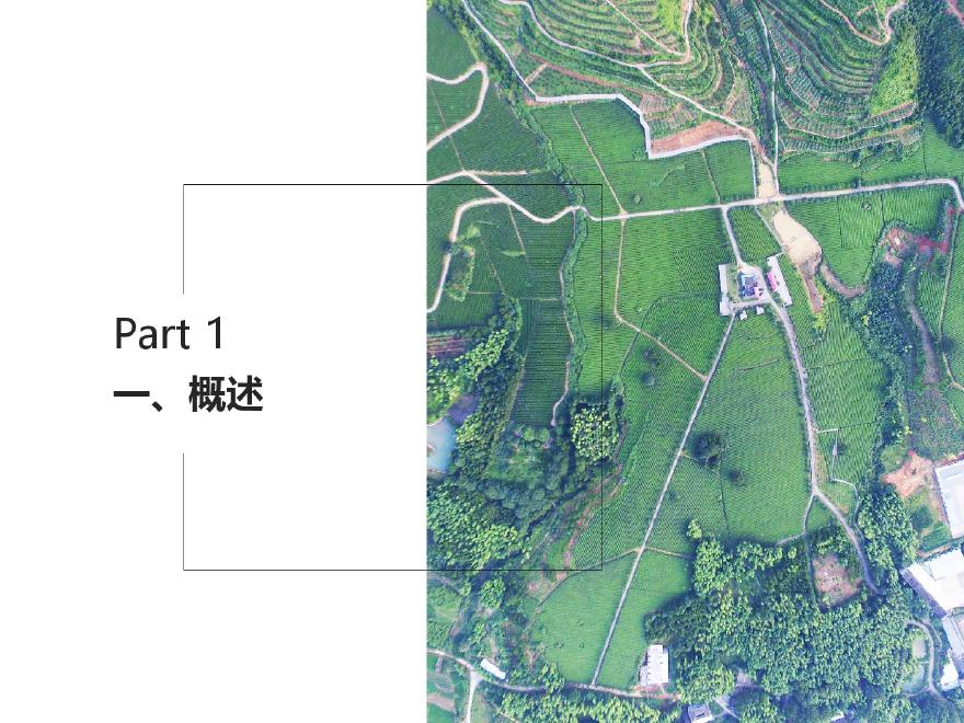 国土空间规划（村庄规划案例）.pdf-图二