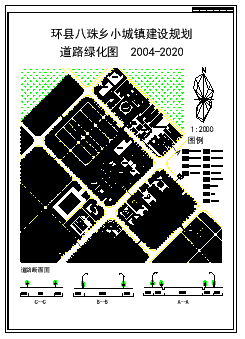 某环县乡镇规划设计施工cad图纸-图二
