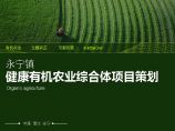 永宁健康农业综合体概念规划2012.pdf图片1