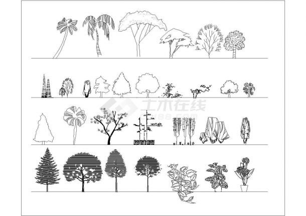 某园林立面植物图例CAD大样详细设计图纸-图一