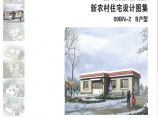新农村住宅设计图集09BN-2 B户型图片1