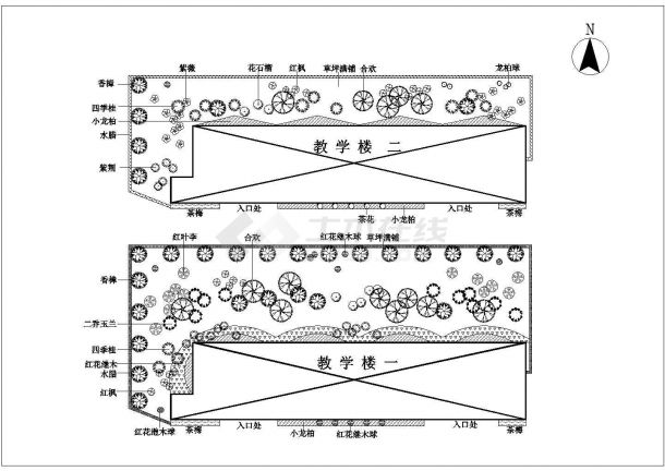 某初中部教学楼绿化CAD景观设计布置平面图-图一