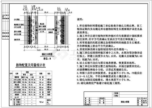 某四条道路绿化CAD平面设计施工图-图二