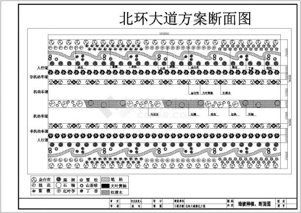 某景区道路绿化CAD完整设计图纸-图一