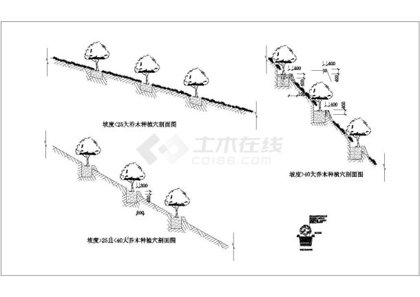 某山区大乔木种植参考图-图一