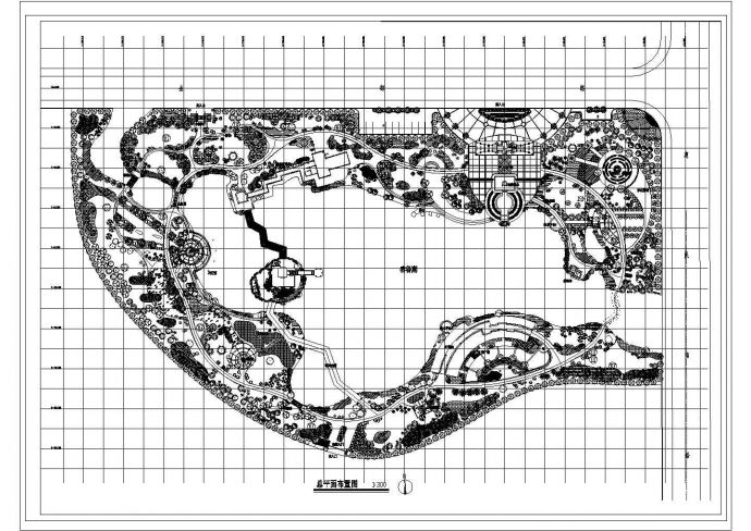 某森林公园总平面CAD详细构造施工布置图_图1