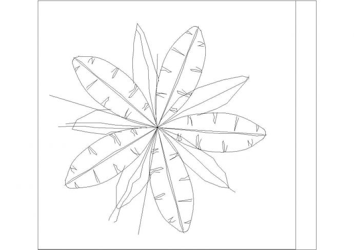 某园林植物平面设计CAD图_图1