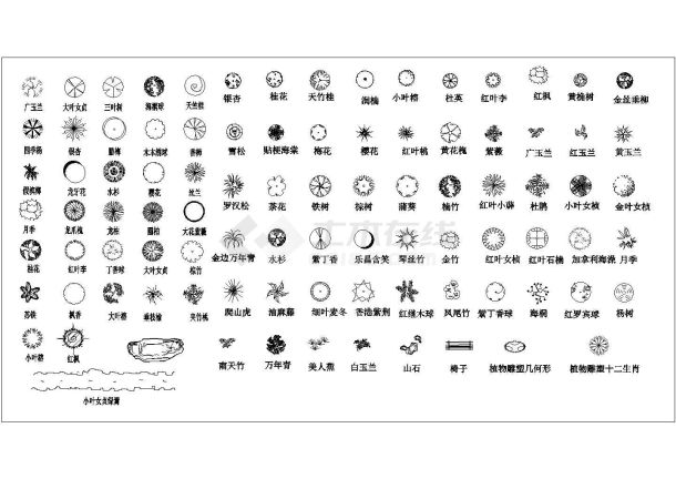 齐全植物平面图例参考CAD图-图一