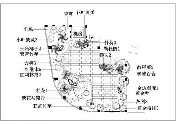 保定市健康西路某星级大酒店屋顶花园平面绿化设计CAD图纸-图二