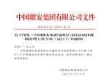 《中国雄安集团有限公司建设项目现场管理工作方案（试行）》图片1